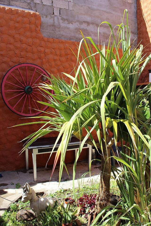 Casa Rural El Burro