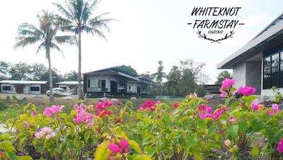 White Knot Khao Yai by D Varee