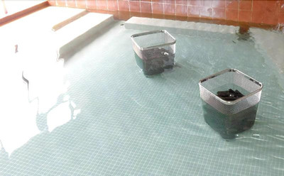 Tento no sato Hotel Honjin Abashiriko