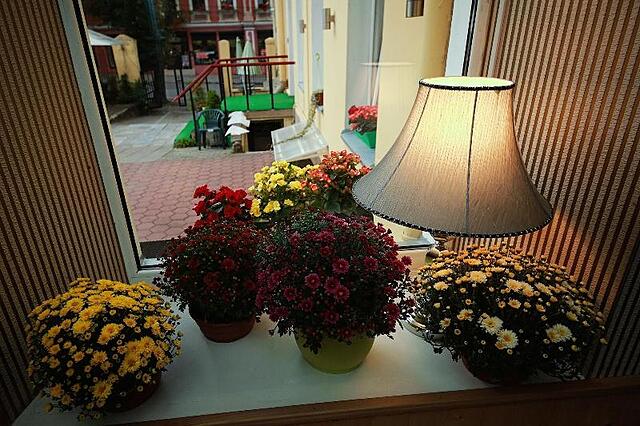 Sodu Rooms