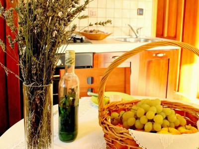 Apartments Salu