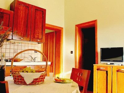 Apartments Salu