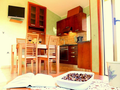 Apartments Salu