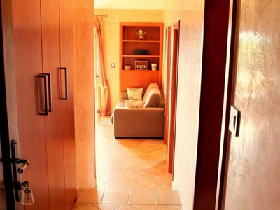 Apartments Salu