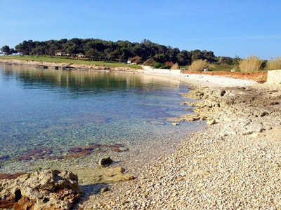 Apartments Salu