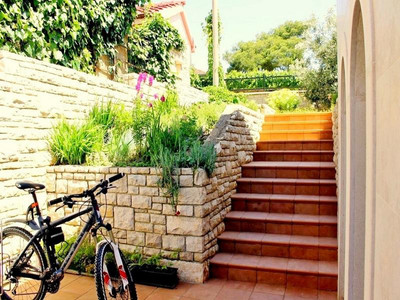 Apartments Salu