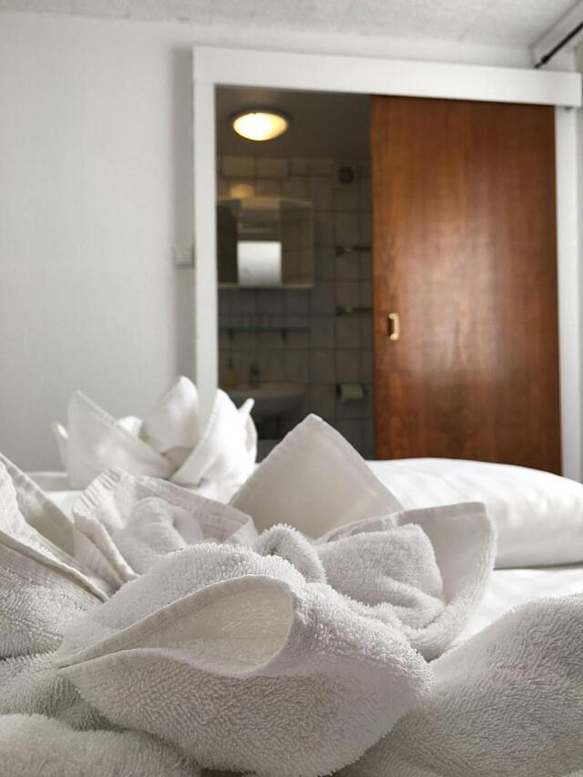 CITY HOTEL GARNI DIEZ