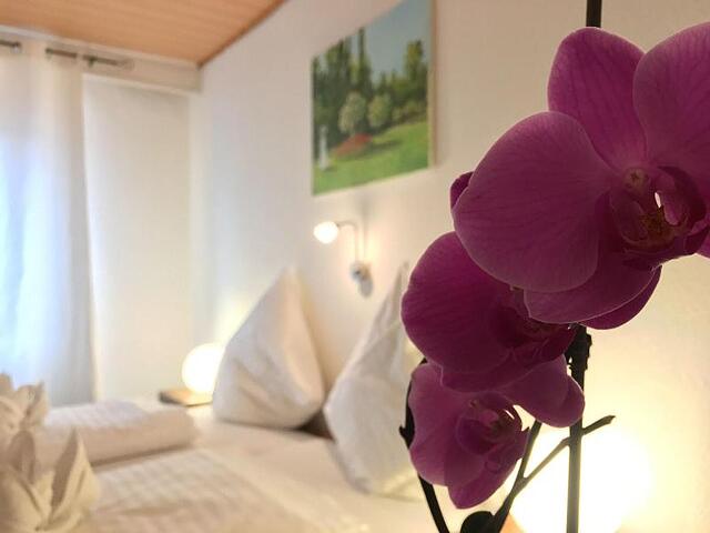 CITY HOTEL GARNI DIEZ