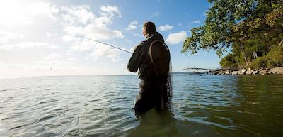 Hotel Gammel Havn Good Night Sleep Tight