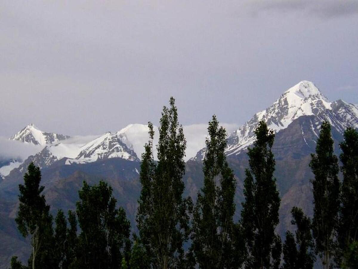 Hotel Kidar Leh
