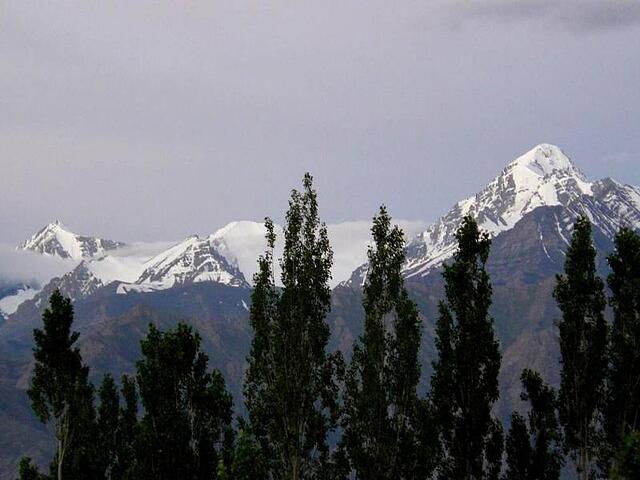 Hotel Kidar Leh