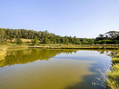 OYO Caminhos De Nazaré