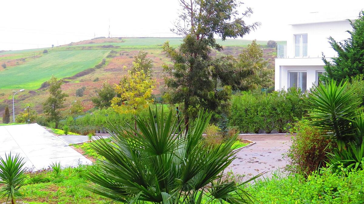 Hilltop Oasis Lisbon Lux Oeiras Resorts