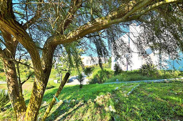 Hilltop Oasis Lisbon Lux Oeiras Resorts