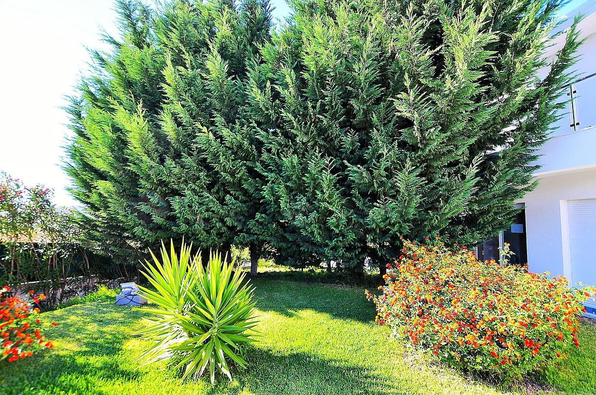Hilltop Oasis Lisbon Lux Oeiras Resorts