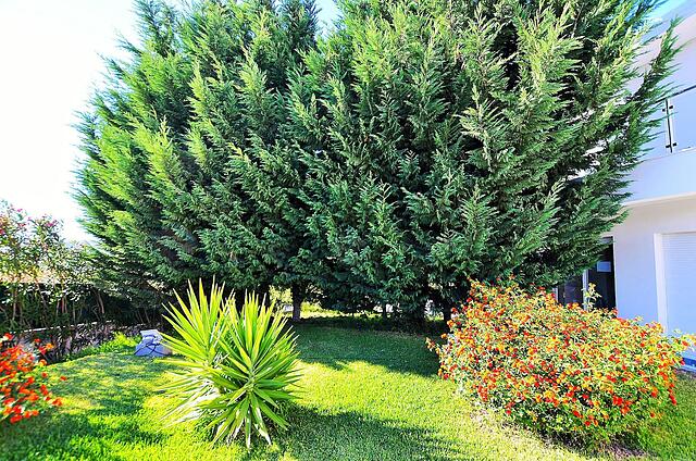 Hilltop Oasis Lisbon Lux Oeiras Resorts