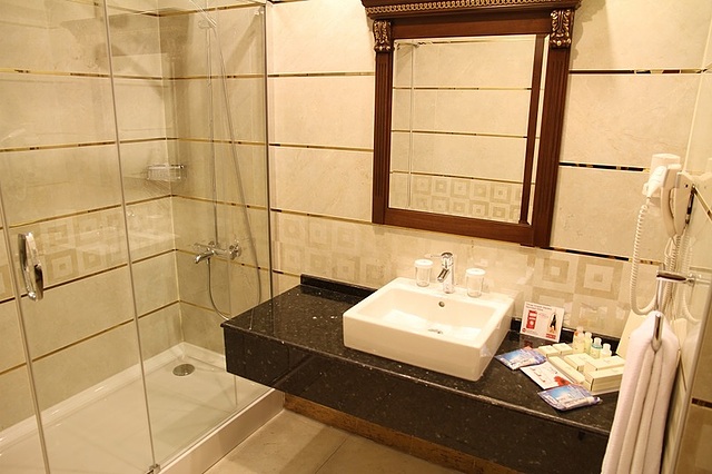 Grand Abant Hotel (Buyuk Abant Hotel)