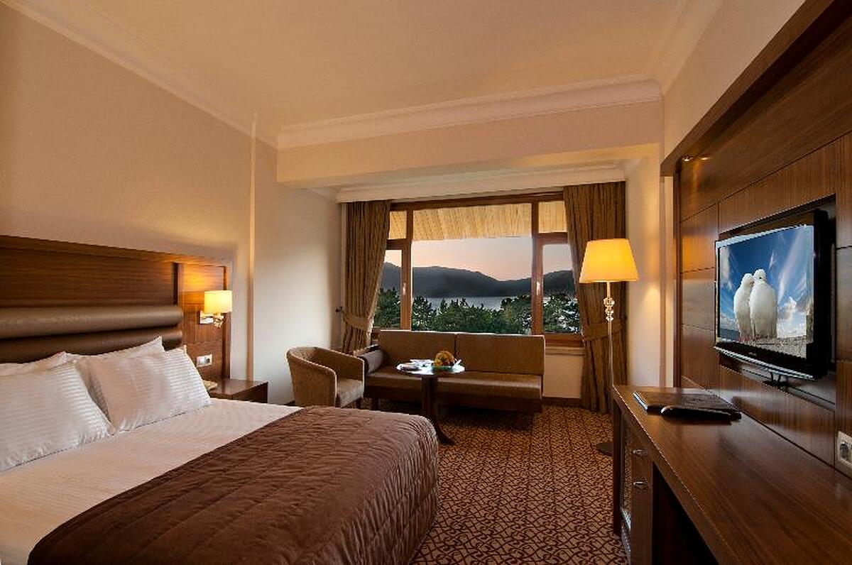 Grand Abant Hotel (Buyuk Abant Hotel)