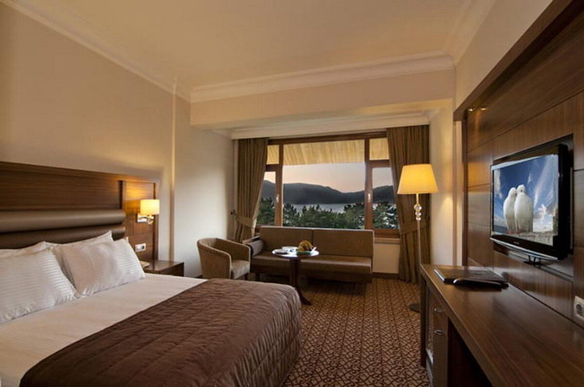 Grand Abant Hotel (Buyuk Abant Hotel)