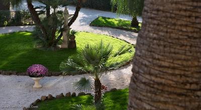 اکسل مونتماریو