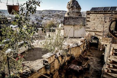 امیلی کاو هاوس