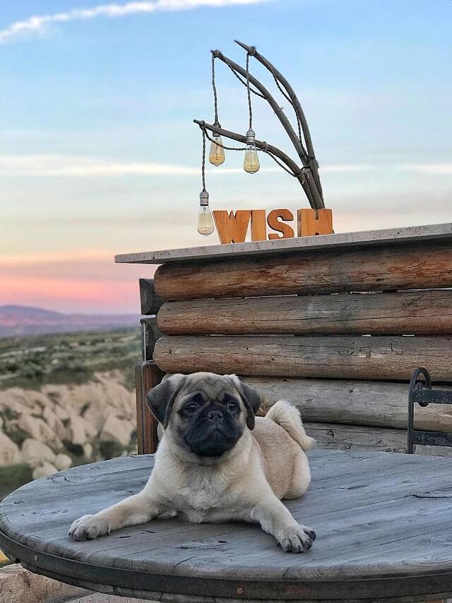 Wish Cappadocia