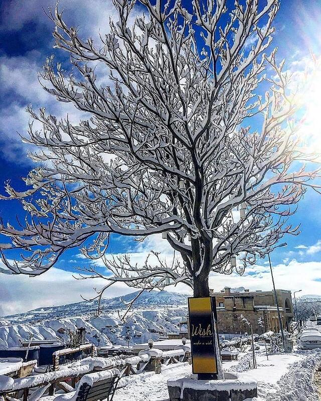 Wish Cappadocia
