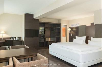 اناچ دوسلدورف کنیکسالی