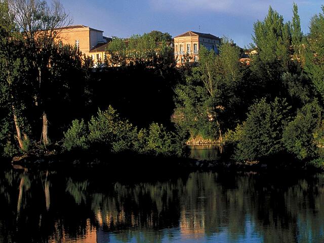 ibis Montauban