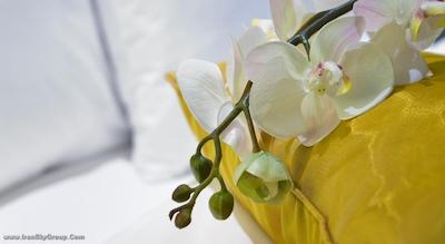 هالیدی این الماتی