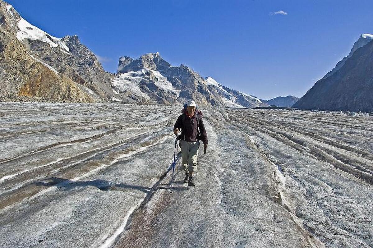 The Verda Driftwood Ladakh