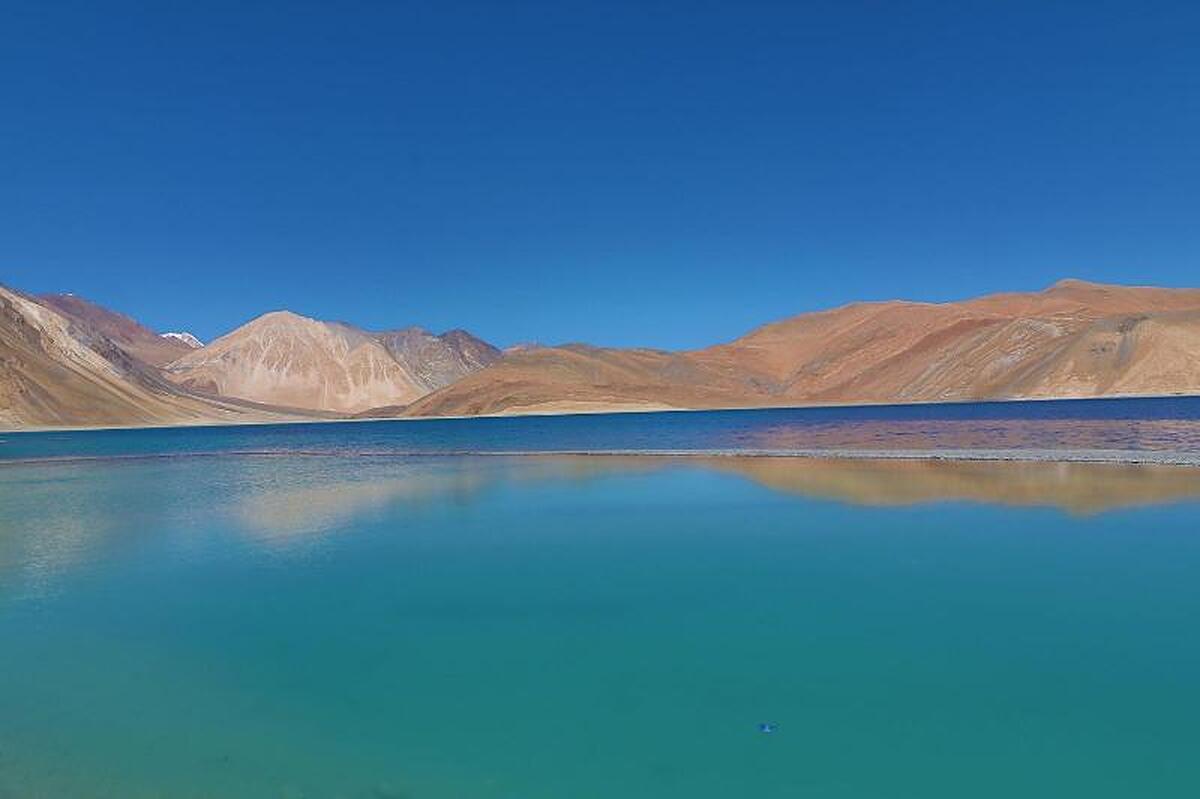 The Verda Driftwood Ladakh