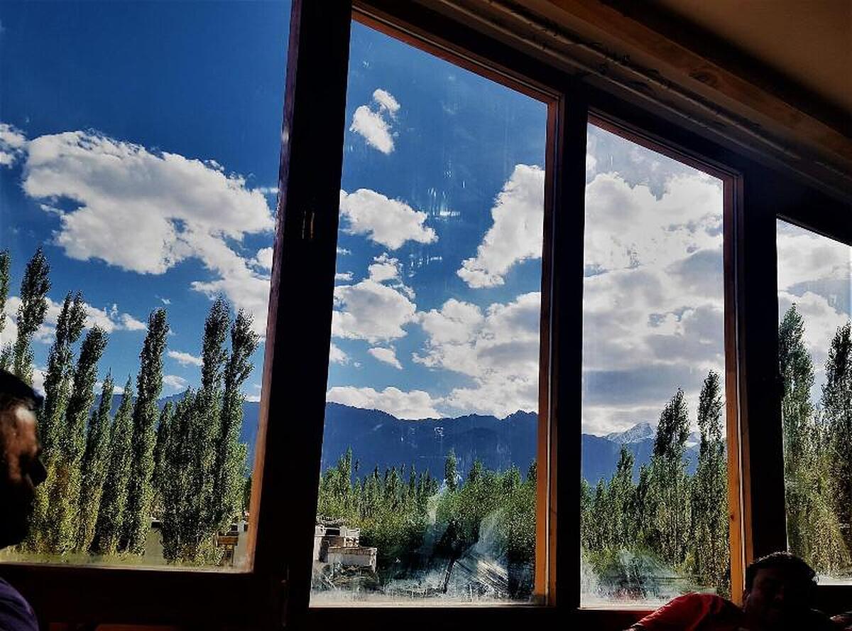The Verda Driftwood Ladakh