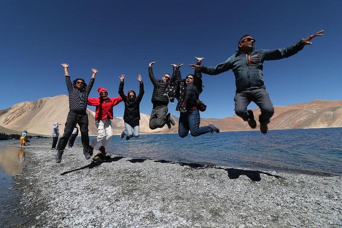The Verda Driftwood Ladakh
