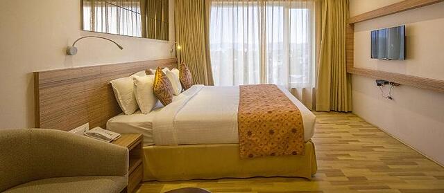 Hotel Palacio