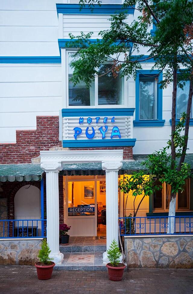 Hotel Puya