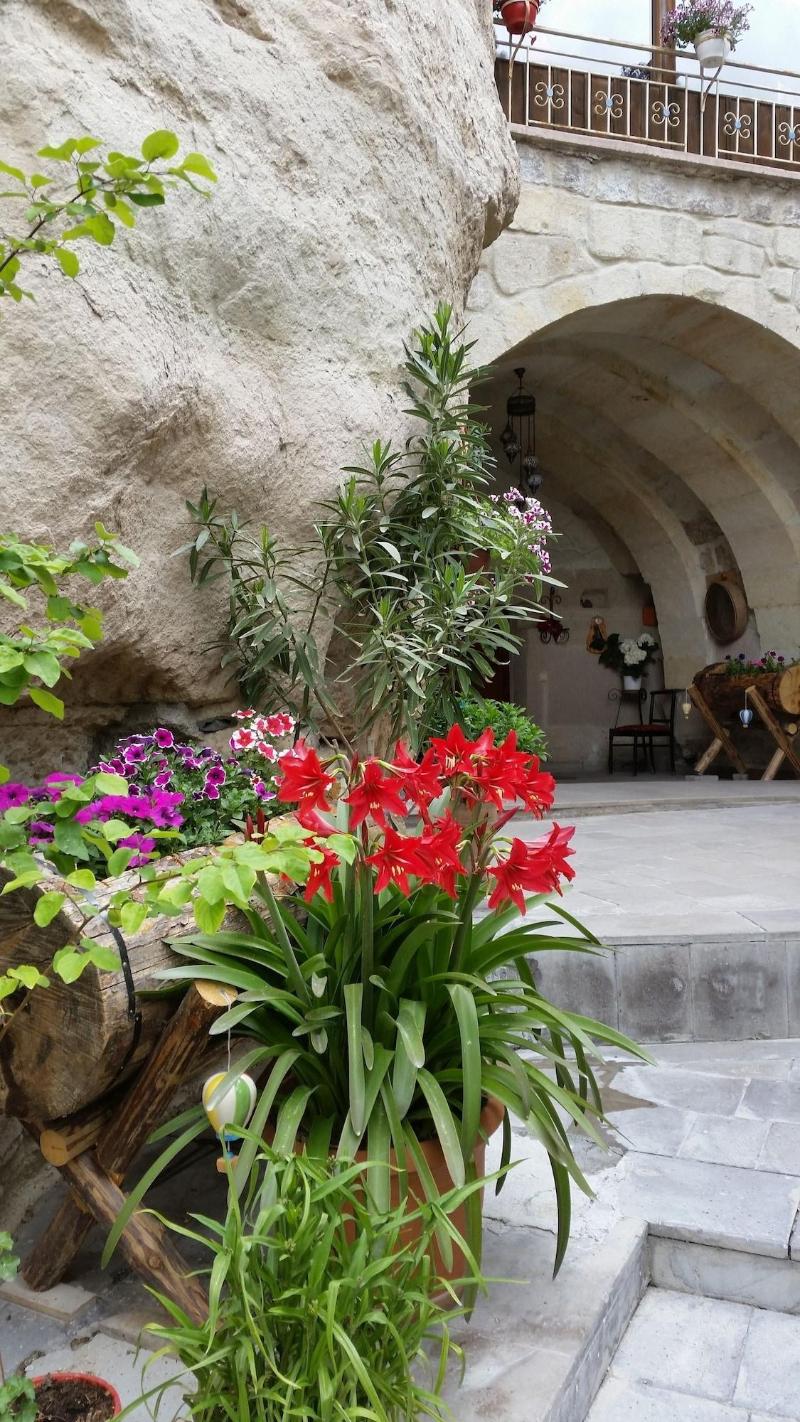Anatolia Cave Hotel Pansion