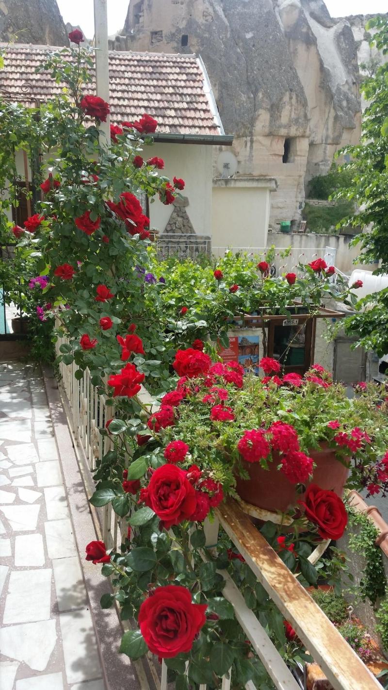 Anatolia Cave Hotel Pansion