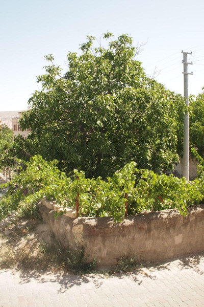 Emre S Stone House