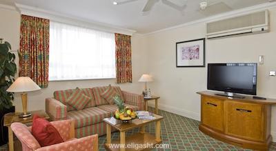 تیسل سیتی باربیکن