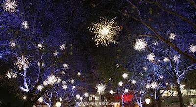 جمیرا کارلتون تاور