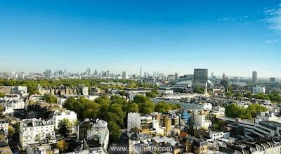 جمیرا کارلتون تاور