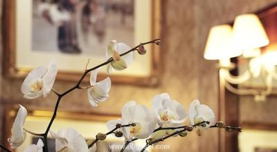 برجایا ادن پارک لندن