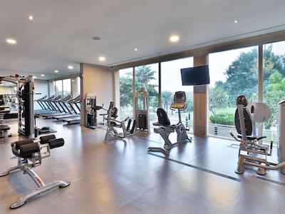 ریکسوس د پالم دبی