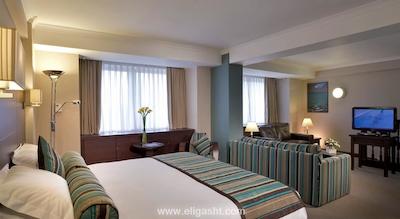 دانوبیوس هتل ریجنتس پارک