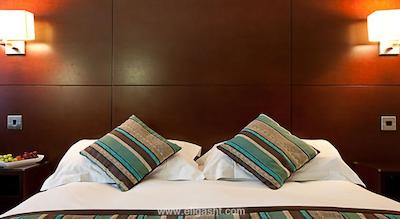 دانوبیوس هتل ریجنتس پارک