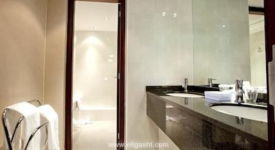 دانوبیوس هتل ریجنتس پارک