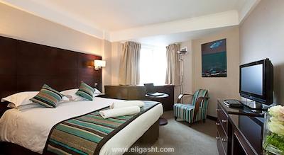 دانوبیوس هتل ریجنتس پارک