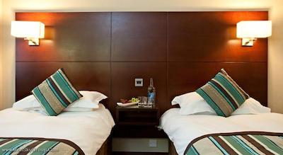 دانوبیوس هتل ریجنتس پارک