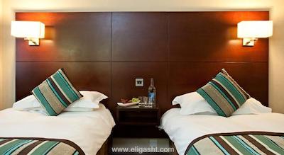 دانوبیوس هتل ریجنتس پارک